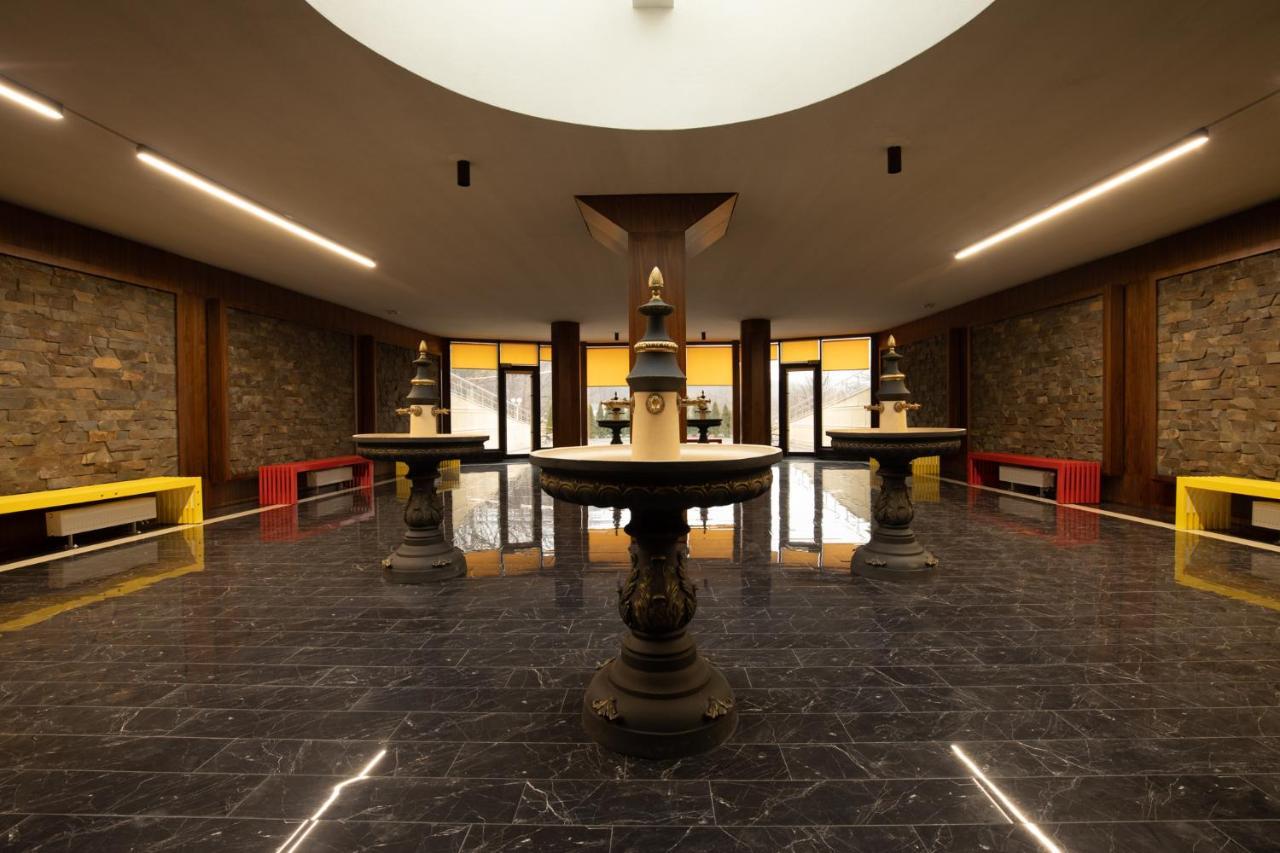 Arden Palace Medical Resort & Spa Sataniv Exterior foto